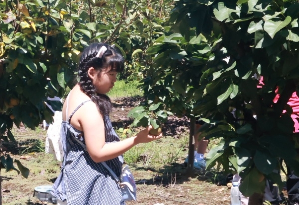 8021755565914527.jpg 圖片8-8.jpg